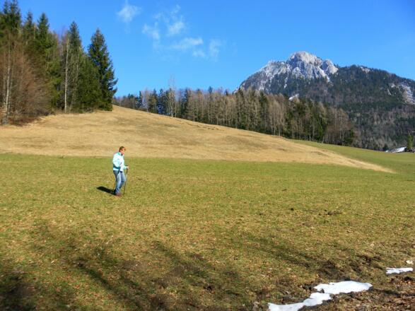 Schober von Schöffbaum