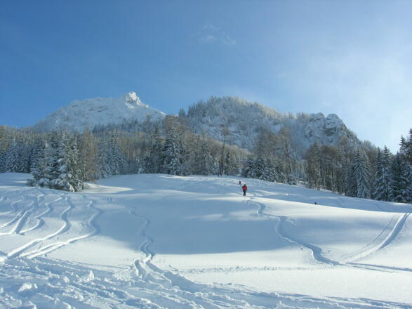 Der oberste Hangbereich - beim Waldrand ist Schluss!