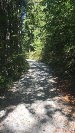 Wanderweg 