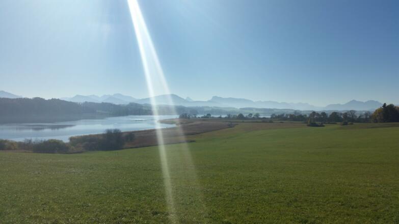 Ausblick auf den Wallersee
