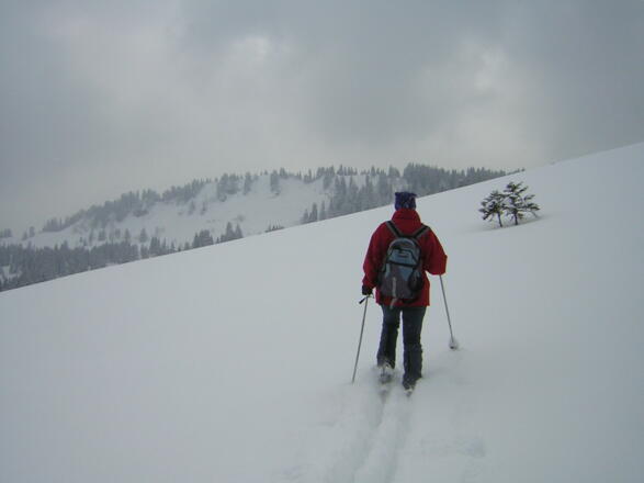 am Pillsteinsattel, dahinter der Illingerberg