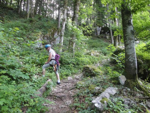Hier verlässt man den Wanderweg zum Einstieg.