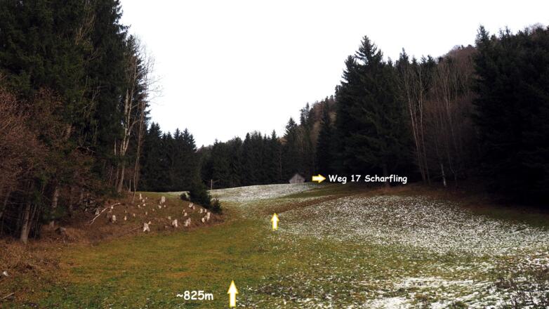 wegloser Anstieg ü.Lichtung zum WEG 17