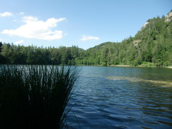 Der Eibensee lädt auch zu einem Sprung ins kühle Nass ein