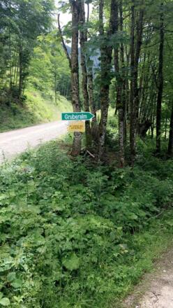 Abzweigung Richtung Gruberalm