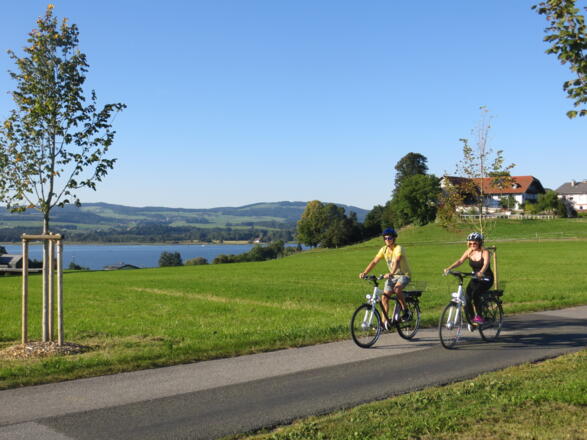 Radfahren am Wallersee
