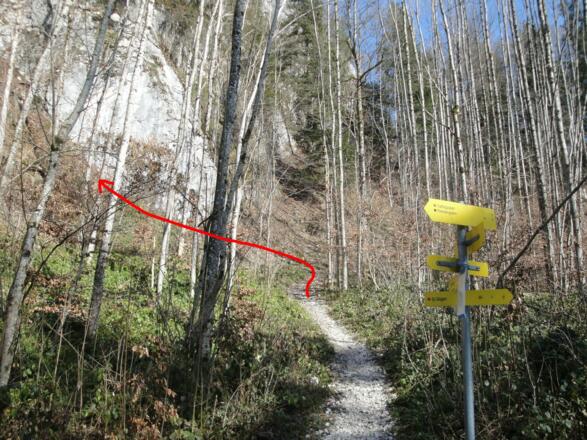 Hier muss man den Wanderweg nach links verlassen.
