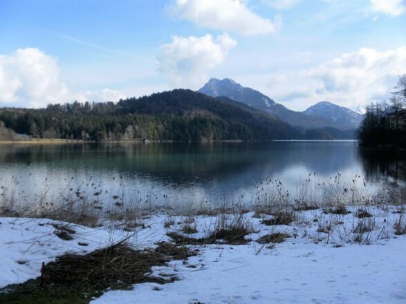 mooriges Westufer, Feldberg und Schober