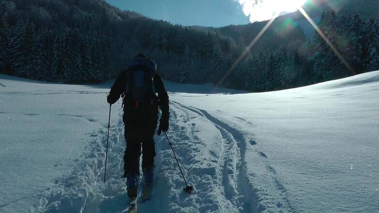 Auf der Wiese im unteren Bereich