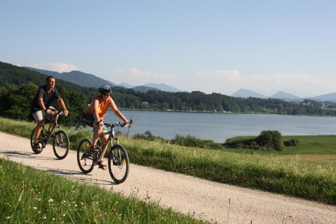 Radfahren am Wallersee