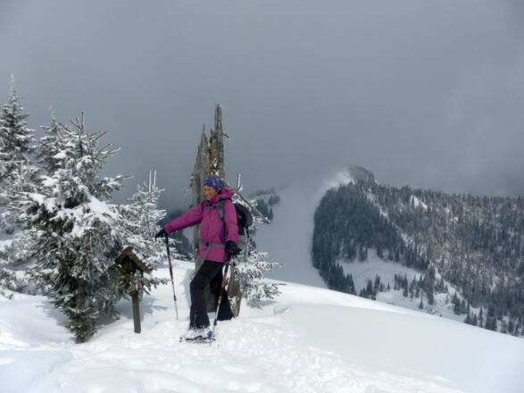 Grobriedel mit Blick zur Anzenbergpiste