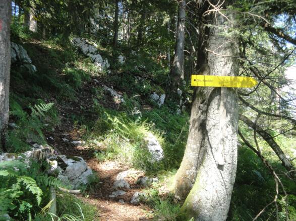 Auch der Abstiegsweg ist exakt beschildert.