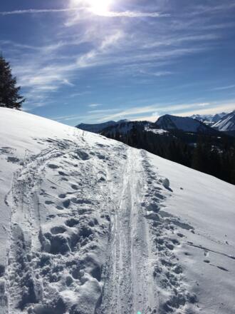 Zwölferhorn Salzkammergut 