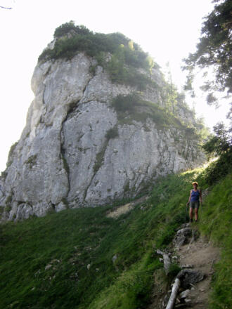 Kleiner Sparber aus der Scharte