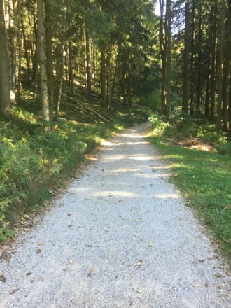 Wanderweg 