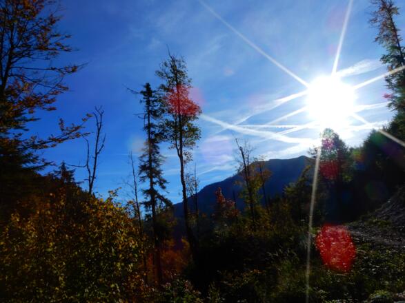 Über dem Burggraben