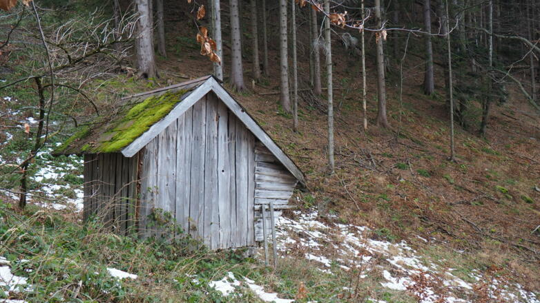 Futterhütterl um 950m