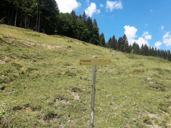 Wanderung Richtung Feichtenstein 