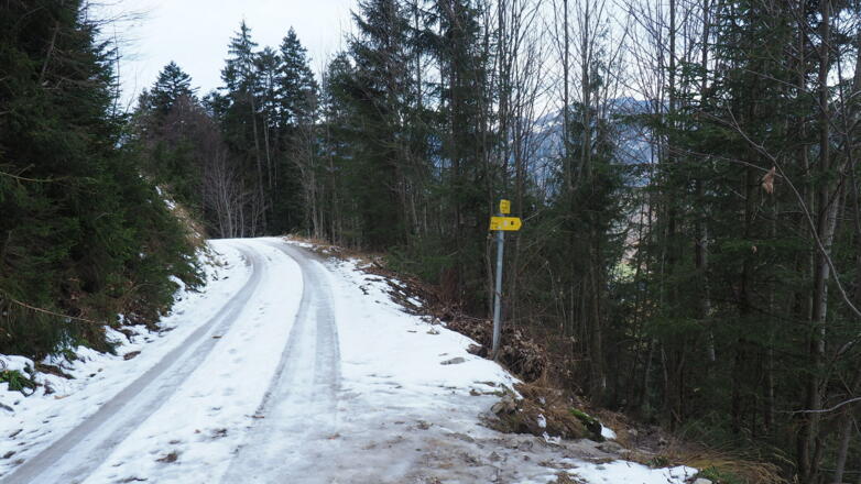 Nach Winkl, Forststraßenquerung ~1090m