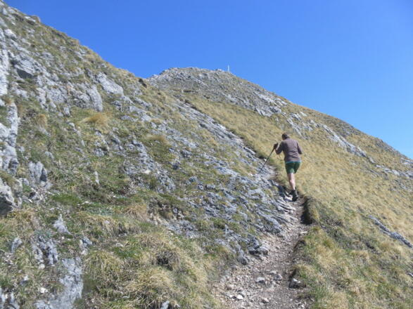 am Purtschellersteig