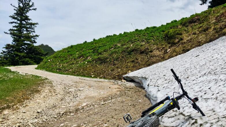 Am Weg zum Zwölferhorn