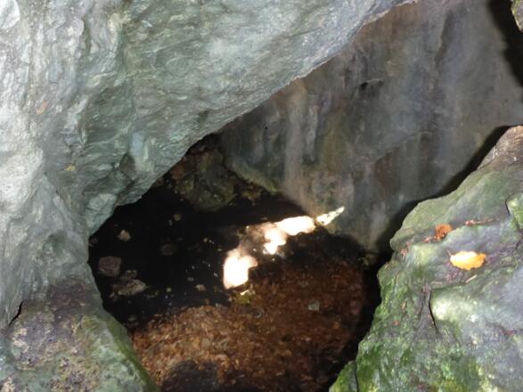 Bärenhöhle am Lidaun