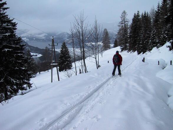 einfache Forststraßenabfahrt