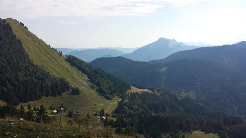 Faistenauer Schafberg (Grasbewachsener Südhang)