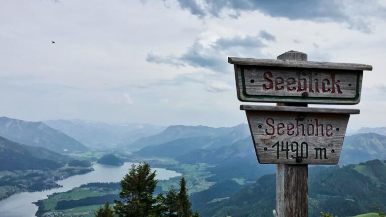 Blick in Richtung Strobl am Wolfgangsee