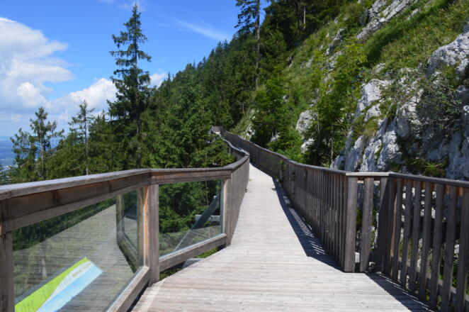 Holzbrücke mit Aussicht