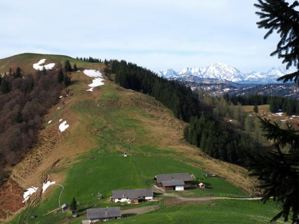 Hochwieseralm mit Loibersbacher Höhe von 1400m