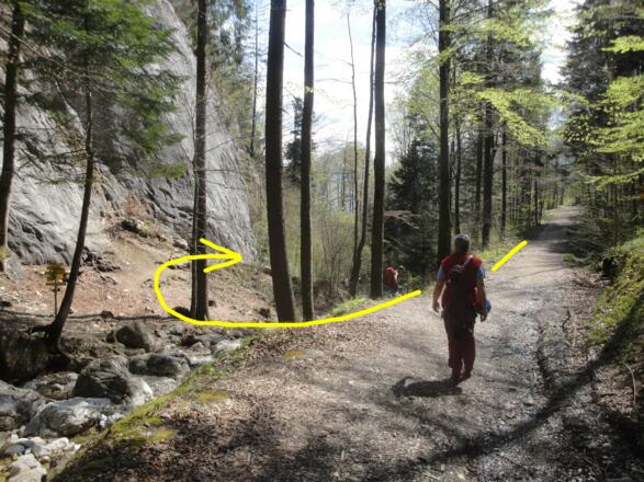 Zustiegsrichtung beim Klettergarten