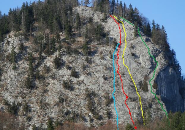 Übersicht: Edelweiss (blau), Äskulap (rot), Flipperl (gelb), Juniperus (grün)