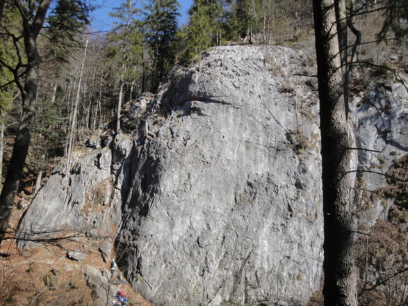 Beim Klettergarten geht es dem Bach entlang abwärts.