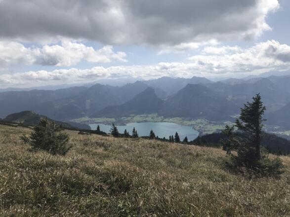 Blick vom Schafberg