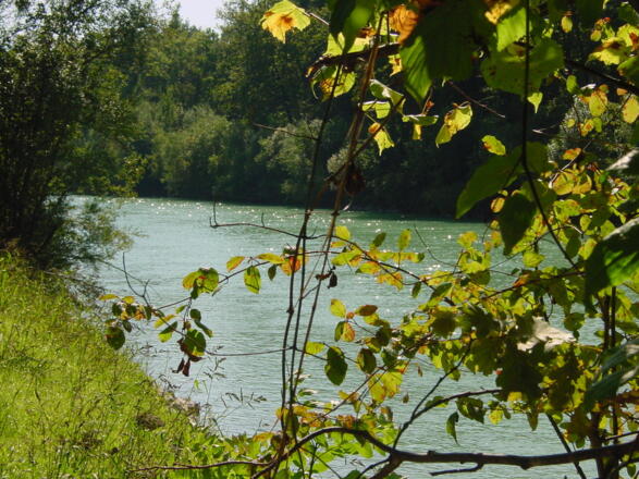 Entlang der Saalach von Siezenheim nach Wals