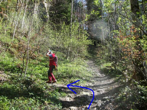Hier wird der Wanderweg verlassen.