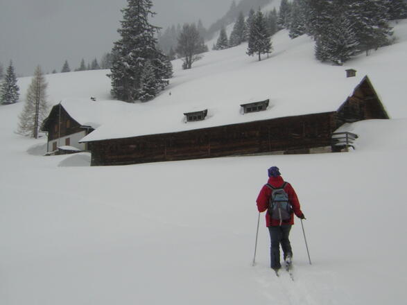 unter der Braunauer Hütte