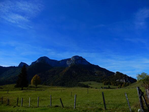 Schafberg und Eisenaueralm