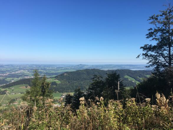 Blick in den Flachgau 