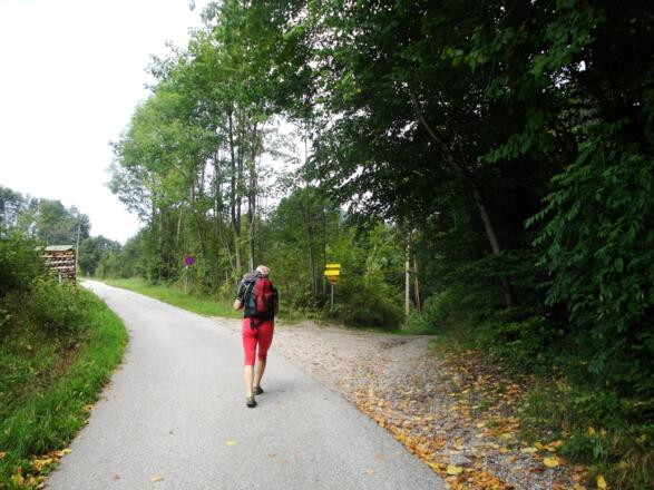 Hier verlassen wir die Straße nach rechts zum Klettergarten.