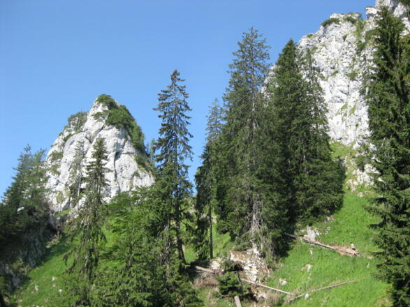 Kleiner und Großer Sparber - Anstieg in die Scharte