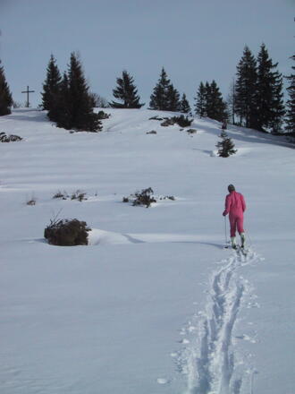 Südhang des Spitzecks