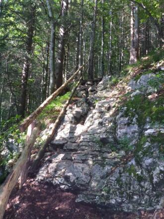 Eingangsbereich der Bärenhöhle