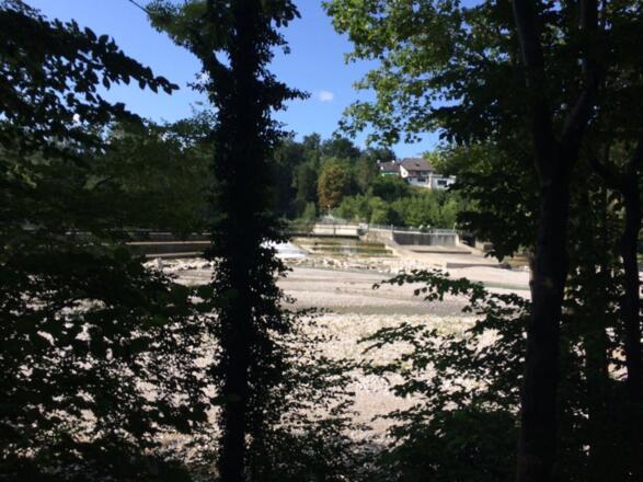 Radweg entlang der Saalach 