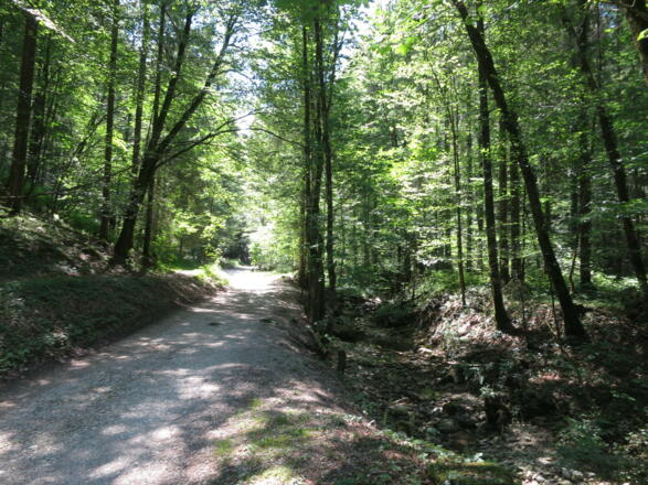 Wanderweg Wolfschwang