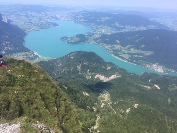 Blick auf den Wolfgangsee