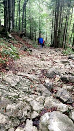 Alte Weg Richtung Gruberalm