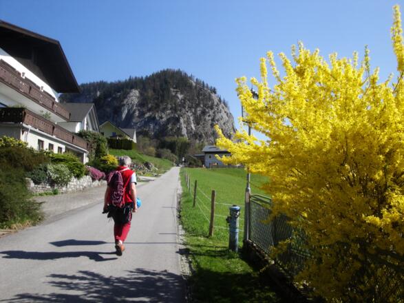 Gleich nach dem Parkplatz sieht man die Routen am Plombergstein.