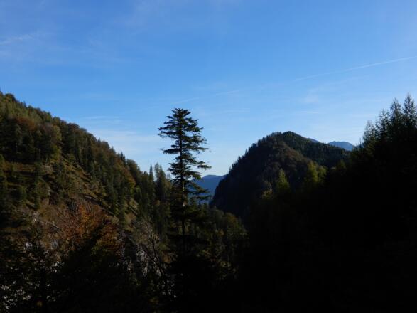 Kurz nach der Moosalm, Blick Richtung Burggraben